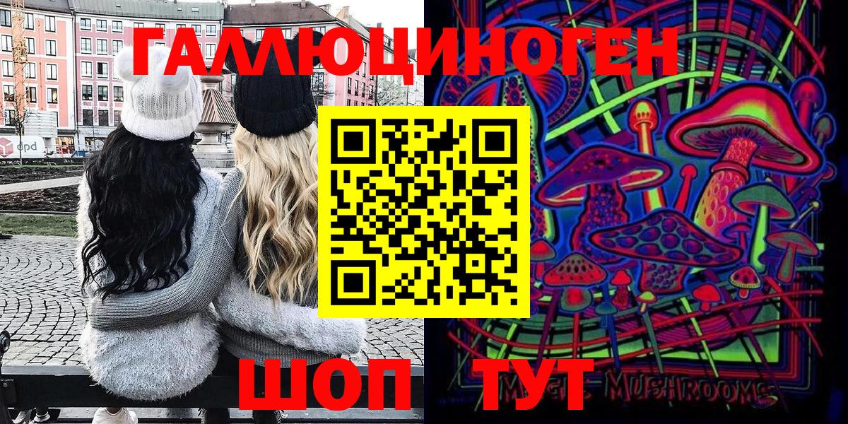 Псилоцибиновые грибы прущие грибы  Вход с VPN  Курчалой 
