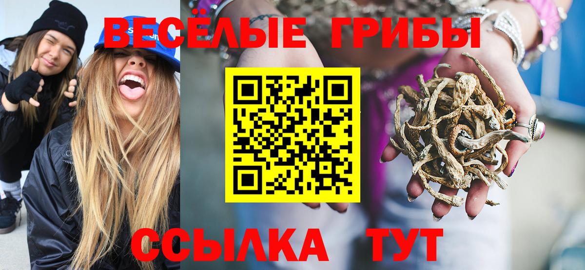 Галлюциногенные грибы GOLDEN TEACHER Курчалой